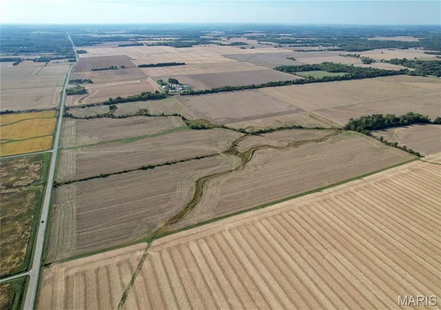 Photo 4 of Land for sale at 000 State Route 161 Ext, Kell, IL 62853 | MLS# MIS26065510 | Listing updated on 2026-10-12