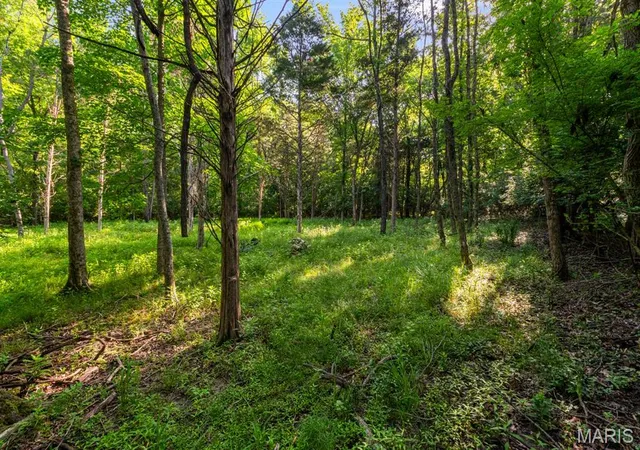 Photo 1 of Sale Pending at 3701 Bear Tooth Ln, Wildwood, MO 63069 | MLS# MIS26065556 | Listing updated on 2026-10-19
