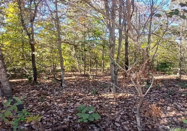 Photo 4 of Land for sale at 5678 N Main St, Annapolis, MO 63620 | MLS# MIS26065749 | Listing updated on 2026-10-13