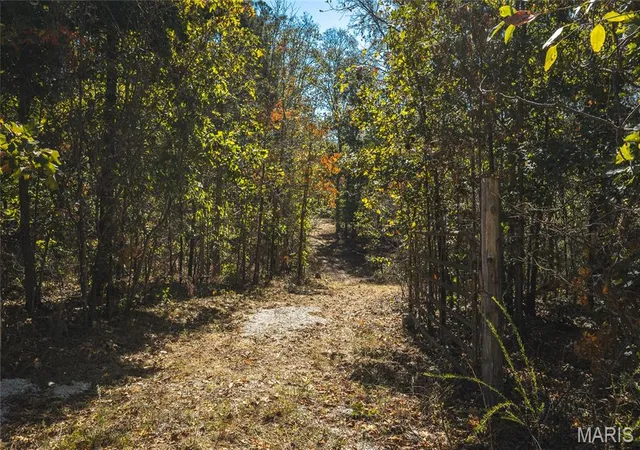 Photo 1 of Land for sale at 9560 Splitlimb Rd, Raymondville, MO 65555 | MLS# MIS26065765 | Listing updated on 2026-10-13