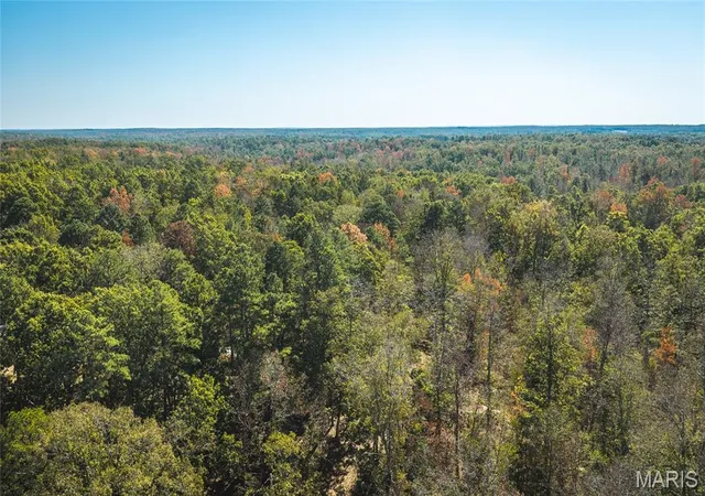 Photo 3 of Land for sale at 9560 Splitlimb Rd, Raymondville, MO 65555 | MLS# MIS26065765 | Listing updated on 2026-10-13