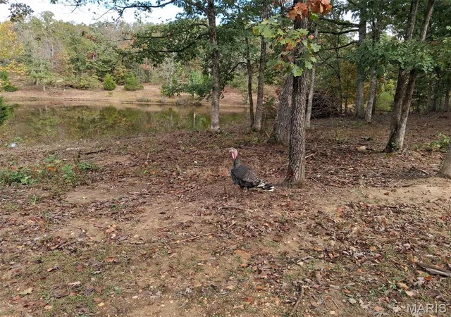 Photo 1 of Land for sale at 0 W 28 Highway, Dixon, MO 65459 | MLS# MIS26065864 | Listing updated on 2026-10-19