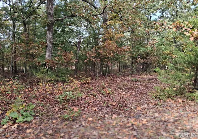 Photo 3 of Land for sale at 0 W 28 Highway, Dixon, MO 65459 | MLS# MIS26065864 | Listing updated on 2026-10-19