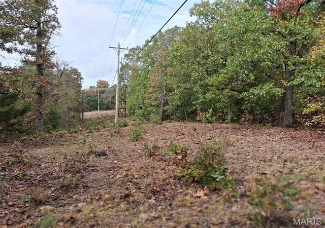 Photo 4 of Land for sale at 0 W 28 Highway, Dixon, MO 65459 | MLS# MIS26065864 | Listing updated on 2026-10-19