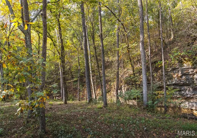 Photo 2 of Land for sale at 000 Long Spring Rd, Steelville, MO 65565 | MLS# MIS26065923 | Listing updated on 2026-10-13