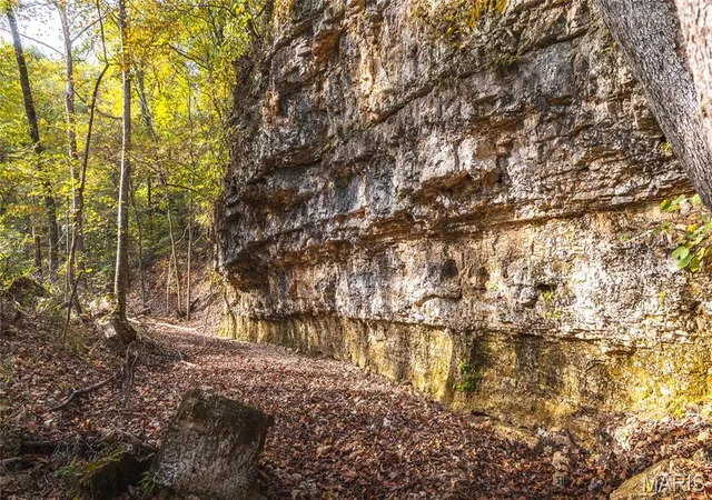 Photo 3 of Land for sale at 000 Long Spring Rd, Steelville, MO 65565 | MLS# MIS26065923 | Listing updated on 2026-10-13