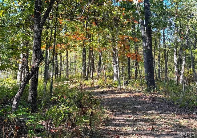 Photo 3 of Land for sale at 00 Hwy Y Rd, Foley, MO 63347 | MLS# MIS26065932 | Listing updated on 2026-10-13