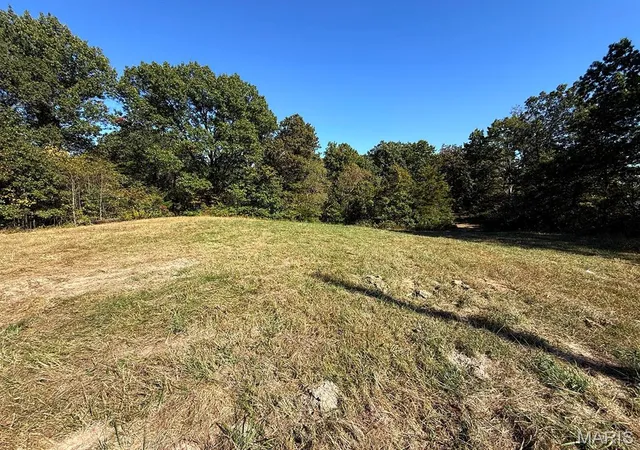 Photo 4 of Land for sale at 00 Hwy Y Rd, Foley, MO 63347 | MLS# MIS26065932 | Listing updated on 2026-10-13