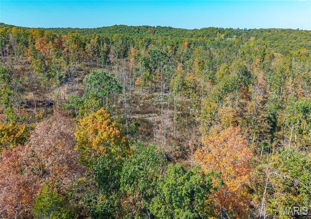 Land for sale at 3 Mill St, Potosi, MO 63664 | MLS# MIS26065941