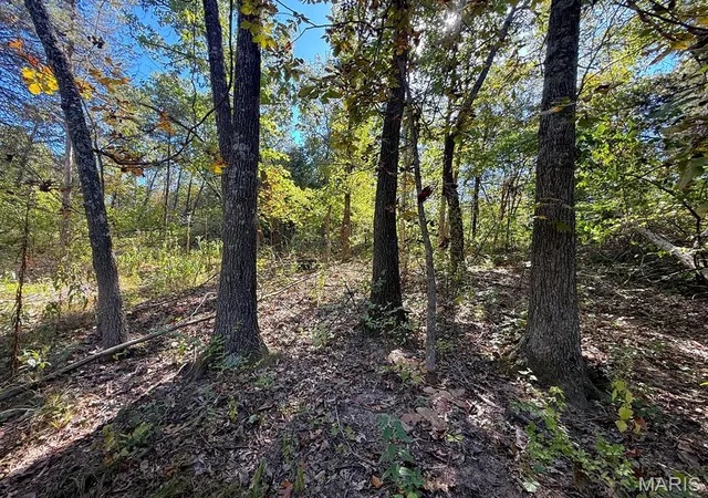 Photo 4 of Land for sale at 00 Hwy Y (34 Ac) Rd, Foley, MO 63347 | MLS# MIS26065954 | Listing updated on 2026-10-13