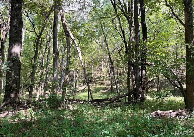 Photo 2 of Land for sale at 00 Bowen Cemetery Rd, Bland, MO 65014 | MLS# MIS26065978 | Listing updated on 2026-10-13