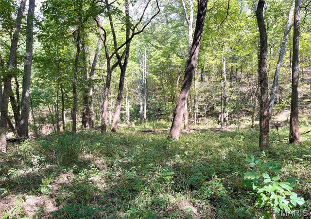 Photo 3 of Land for sale at 00 Bowen Cemetery Rd, Bland, MO 65014 | MLS# MIS26065978 | Listing updated on 2026-10-13