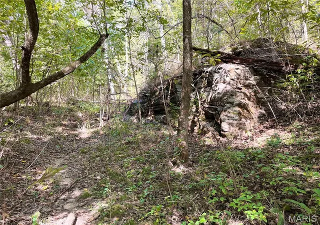 Photo 3 of Land for sale at 00 Bowen Cemetery Rd, Bland, MO 65014 | MLS# MIS26065978 | Listing updated on 2026-10-13