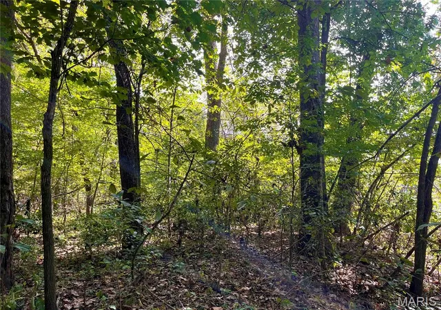 Photo 4 of Land for sale at 00 Bowen Cemetery Rd, Bland, MO 65014 | MLS# MIS26065978 | Listing updated on 2026-10-13