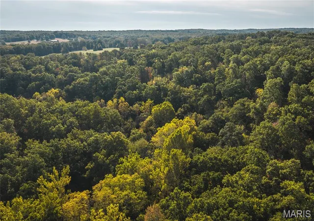 Photo 3 of Land for sale at 000 Long Spring Tract 3, Steelville, MO 65565 | MLS# MIS26066007 | Listing updated on 2026-10-13