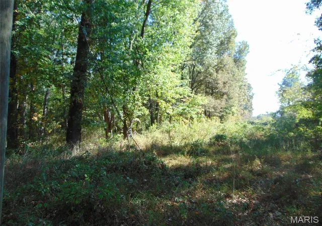 Photo 1 of Land for sale at 0000 Champaign Rd, Johnston City, IL 62951 | MLS# MIS26066091 | Listing updated on 2026-10-14