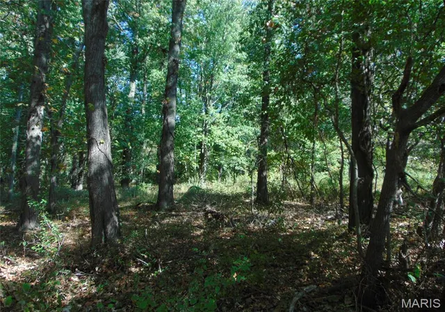 Photo 2 of Land for sale at 0000 Champaign Rd, Johnston City, IL 62951 | MLS# MIS26066091 | Listing updated on 2026-10-14