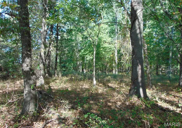 Photo 3 of Land for sale at 0000 Champaign Rd, Johnston City, IL 62951 | MLS# MIS26066091 | Listing updated on 2026-10-14