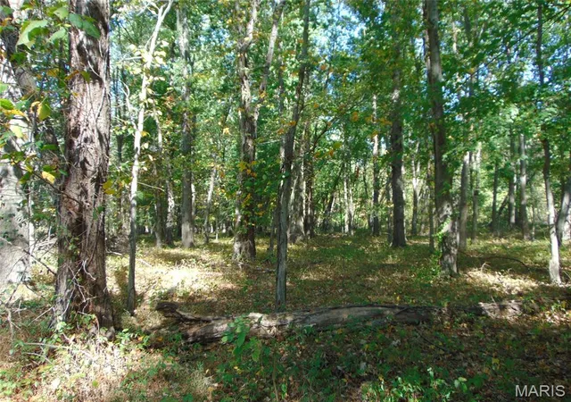 Photo 3 of Land for sale at 0000 Champaign Rd, Johnston City, IL 62951 | MLS# MIS26066091 | Listing updated on 2026-10-14