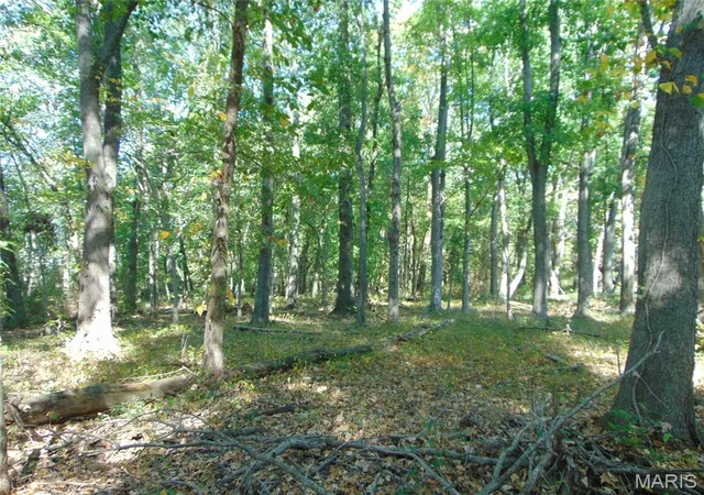 Photo 4 of Land for sale at 0000 Champaign Rd, Johnston City, IL 62951 | MLS# MIS26066091 | Listing updated on 2026-10-14