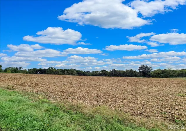 Photo 2 of Land for sale at 0 Hwy B (tract 17+/ Acres), Elsberry, MO 63343 | MLS# MIS26066447 | Listing updated on 2026-10-16