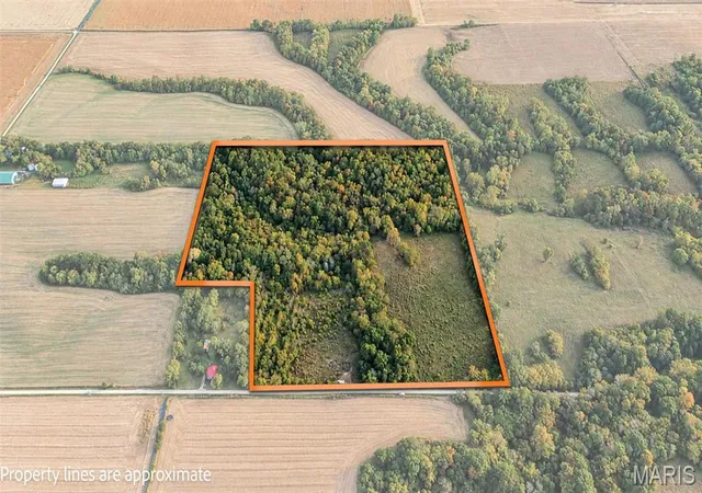 Photo 1 of Land for sale at 613 Nw 850 Street, Hillview, IL 62050 | MLS# MIS26066561 | Listing updated on 2026-10-16