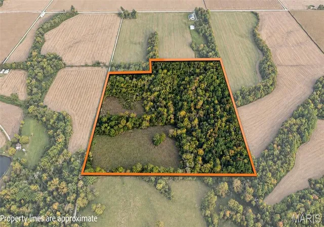 Photo 2 of Land for sale at 613 Nw 850 Street, Hillview, IL 62050 | MLS# MIS26066561 | Listing updated on 2026-10-16
