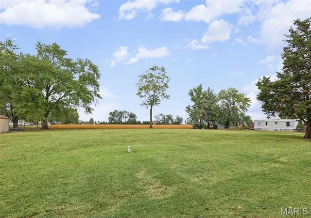 Photo 3 of Land for sale at 206 N 3rd Street, Baldwin, IL 62217 | MLS# MIS26066588 | Listing updated on 2026-10-16