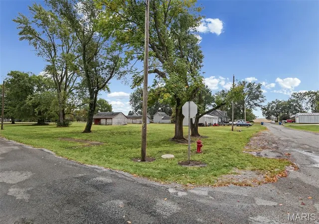 Photo 3 of Land for sale at 112 W Elm St, Baldwin, IL 62217 | MLS# MIS26066600 | Listing updated on 2026-10-16