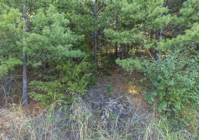Land for sale at 0 Rue Marseille, Bonne Terre, MO 63628 | MLS# MIS26066661
