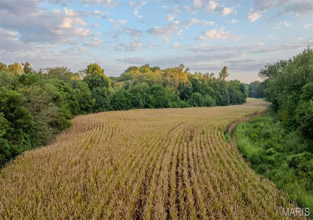 Photo 2 of Land for sale at 000 Victory Rd, Medora, IL 62063 | MLS# MIS26066692 | Listing updated on 2026-10-17