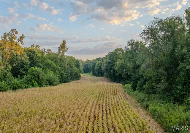 Photo 3 of Land for sale at 000 Victory Rd, Medora, IL 62063 | MLS# MIS26066692 | Listing updated on 2026-10-17