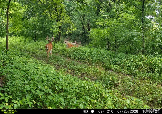 Photo 40 of Land for sale at 000 Victory Rd, Medora, IL 62063 | MLS# MIS26066692 | Listing updated on 2026-10-17