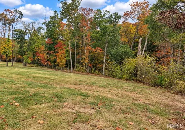 Photo 3 of Land for sale at 1010 E Stonebridge Pl, Festus, MO 63028 | MLS# MIS26066983 | Listing updated on 2026-10-18