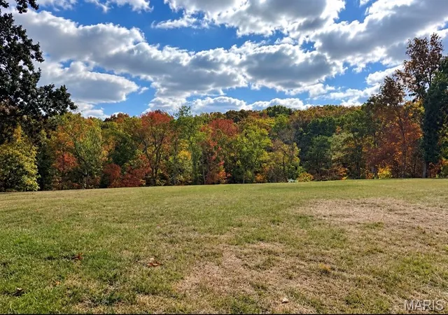 Photo 4 of Land for sale at 1010 E Stonebridge Pl, Festus, MO 63028 | MLS# MIS26066983 | Listing updated on 2026-10-18