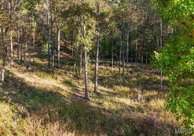 Photo 1 of Land for sale at 19539 St Albans Rd, Glencoe, MO 63038 | MLS# MIS26067038 | Listing updated on 2026-10-23