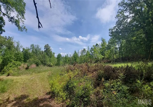 Photo 3 of Land for sale at 2827 Oberhelman Rd, Foristell, MO 63348 | MLS# MIS26067172 | Listing updated on 2026-10-19