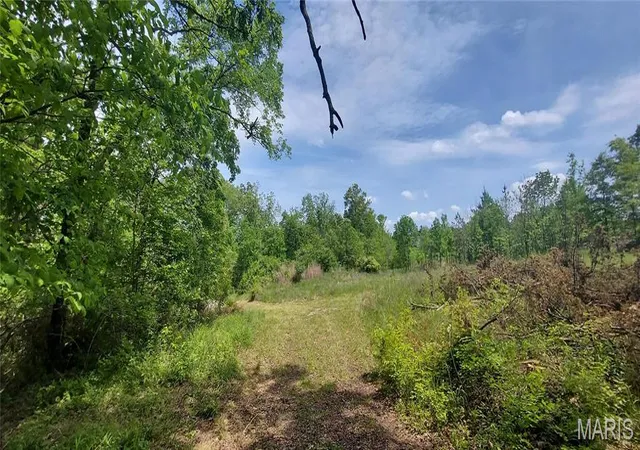 Photo 4 of Land for sale at 2827 Oberhelman Rd, Foristell, MO 63348 | MLS# MIS26067172 | Listing updated on 2026-10-19