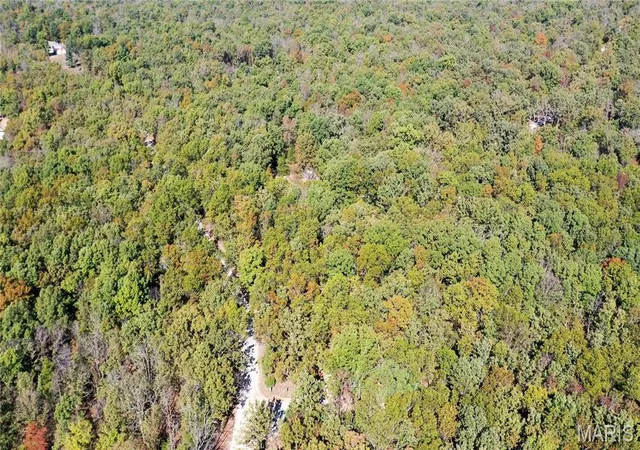 Photo 2 of Land for sale at 611 County Rd 2403, Salem, MO 65560 | MLS# MIS26067388 | Listing updated on 2026-10-21
