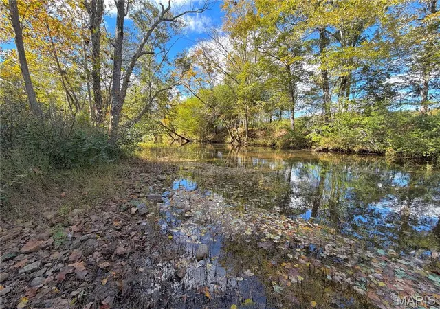 Photo 2 of Land for sale at 1247 Forest Rd 61, Doniphan, MO 63935 | MLS# MIS26067442 | Listing updated on 2026-10-21