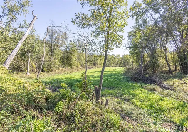 Photo 3 of Land for sale at 1123 Monroe Rd, Jacksonville, MO 65260 | MLS# MIS26067757 | Listing updated on 2026-10-21