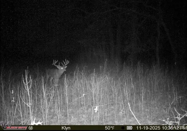 Photo 1 of Land for sale at 0 County Rd 700 N, Golden Gate, IL 62843 | MLS# MIS26067847 | Listing updated on 2026-10-22