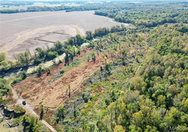 Photo 4 of Land for sale at 0 County Rd 700 N, Golden Gate, IL 62843 | MLS# MIS26067847 | Listing updated on 2026-10-22