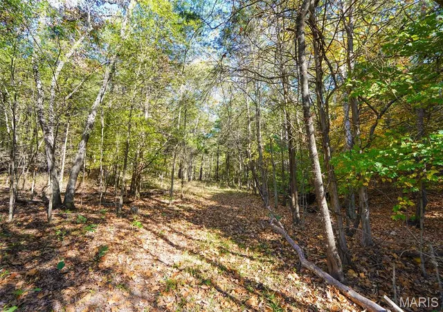 Photo 3 of Land for sale at 5270 US Hwy 67, De Soto, MO 63020 | MLS# MIS26067850 | Listing updated on 2026-10-23