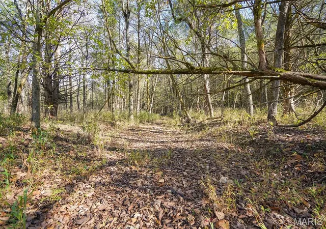 Photo 4 of Land for sale at 5270 US Hwy 67, De Soto, MO 63020 | MLS# MIS26067850 | Listing updated on 2026-10-23