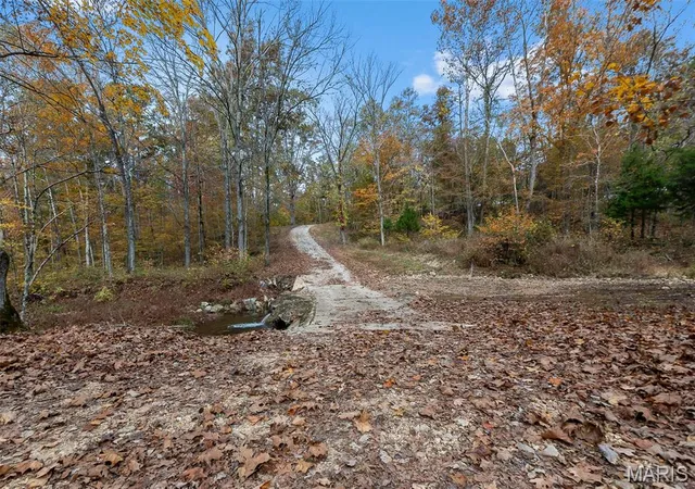 Photo 4 of Single family home for sale at 4769 Bcr 846, Marquand, MO 63655 | MLS# MIS26067886 | Listing updated on 2026-10-28