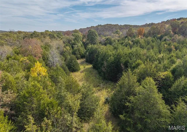 Photo 2 of Land for sale at 000 Rail Dr, Lebanon, MO 65536 | MLS# MIS26068473 | Listing updated on 2026-10-26