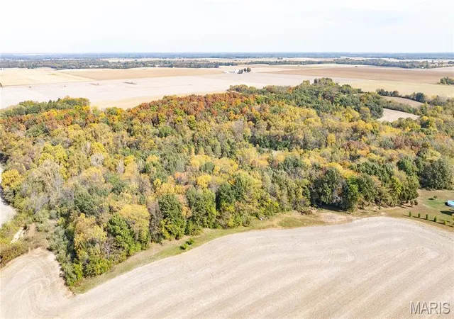 Photo 2 of Land for sale at Tbd Kane Rd, Medora, IL 62063 | MLS# MIS26068768 | Listing updated on 2026-10-29