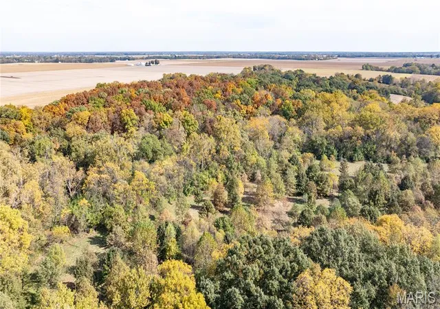Photo 3 of Land for sale at Tbd Kane Rd, Medora, IL 62063 | MLS# MIS26068768 | Listing updated on 2026-10-29