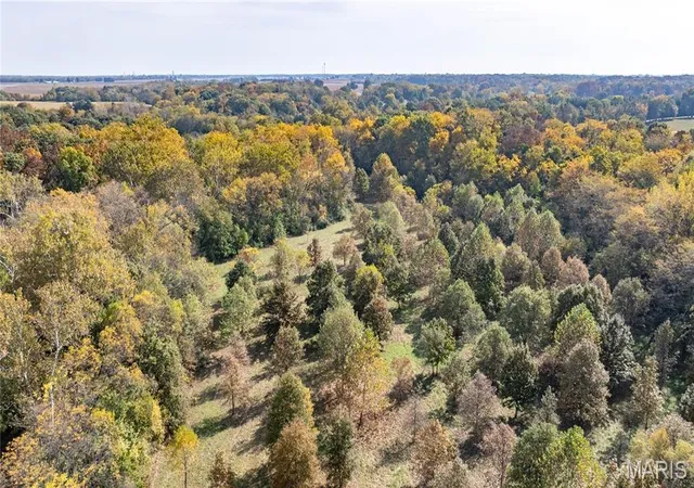 Photo 4 of Land for sale at Tbd Kane Rd, Medora, IL 62063 | MLS# MIS26068768 | Listing updated on 2026-10-29